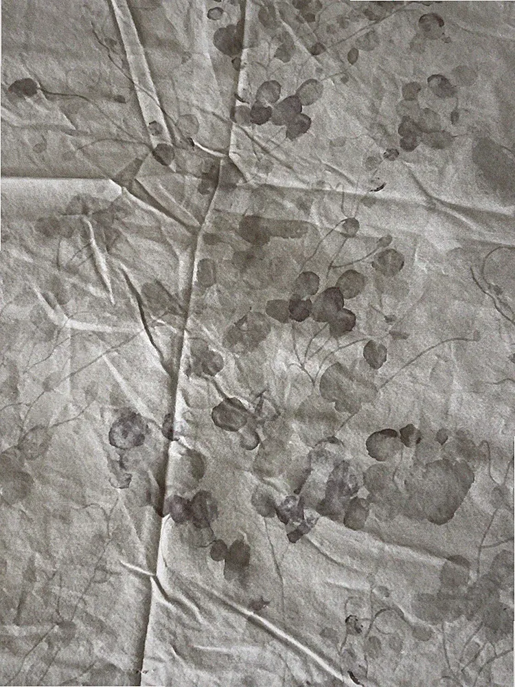 Calvin Klein Aquarelle Floral Duvet Cover Full/ Queen 2 Standard Shams