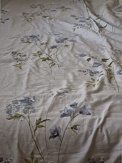 Calvin Klein Lavender Bamboo Flower Watercolor King Duvet 1 Pillow Sham Set