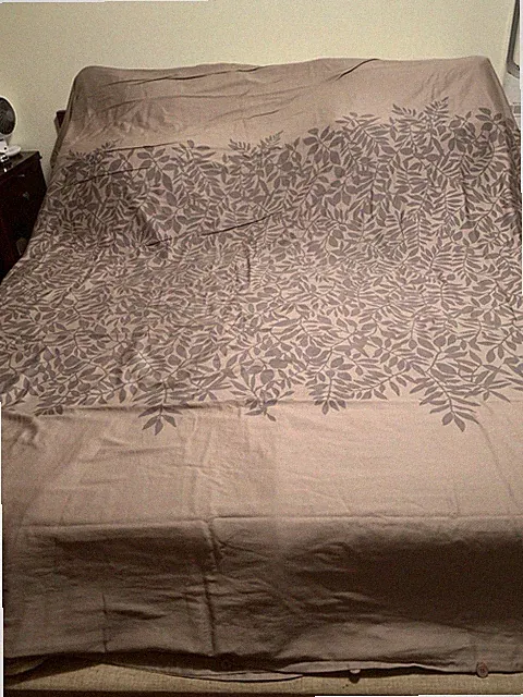 CalvIn Klein Madeira Queen Duvet Cover Bamboo Leaf Leaves